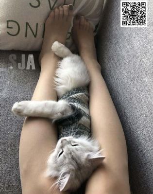 动漫全集免费观看网_影视大全在线观看