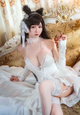 成人在线免费视频播放_视频大全成人直接看